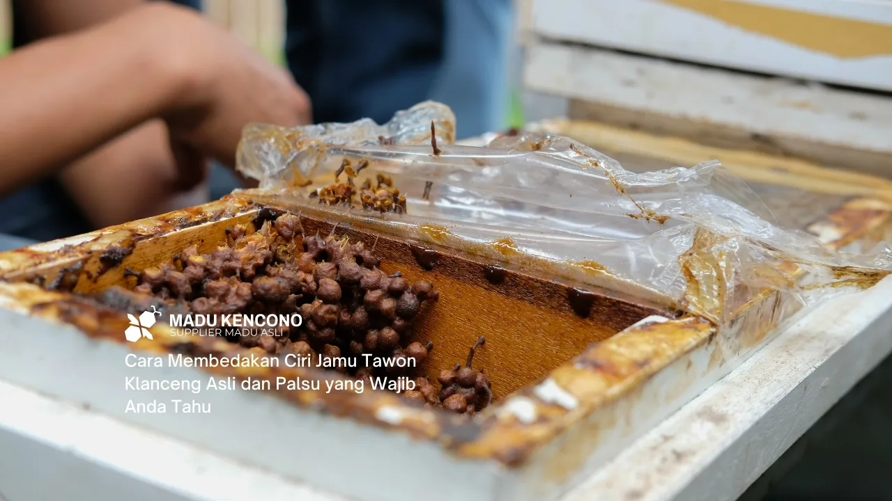 Cara Membedakan Ciri Jamu Tawon Klanceng Asli dan Palsu yang Wajib Anda Tahu