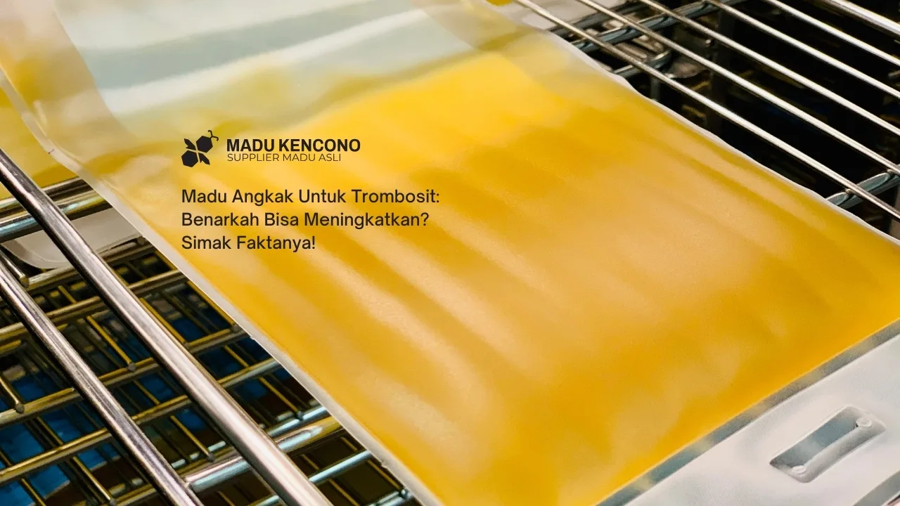 Madu Angkak Untuk Trombosit: Benarkah Bisa Meningkatkan? Simak Faktanya!