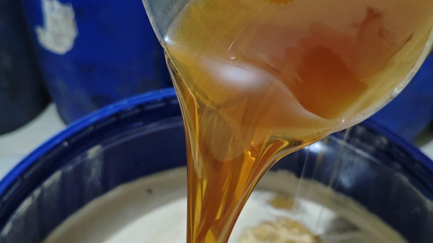 gambar madu kelengkeng asli murni