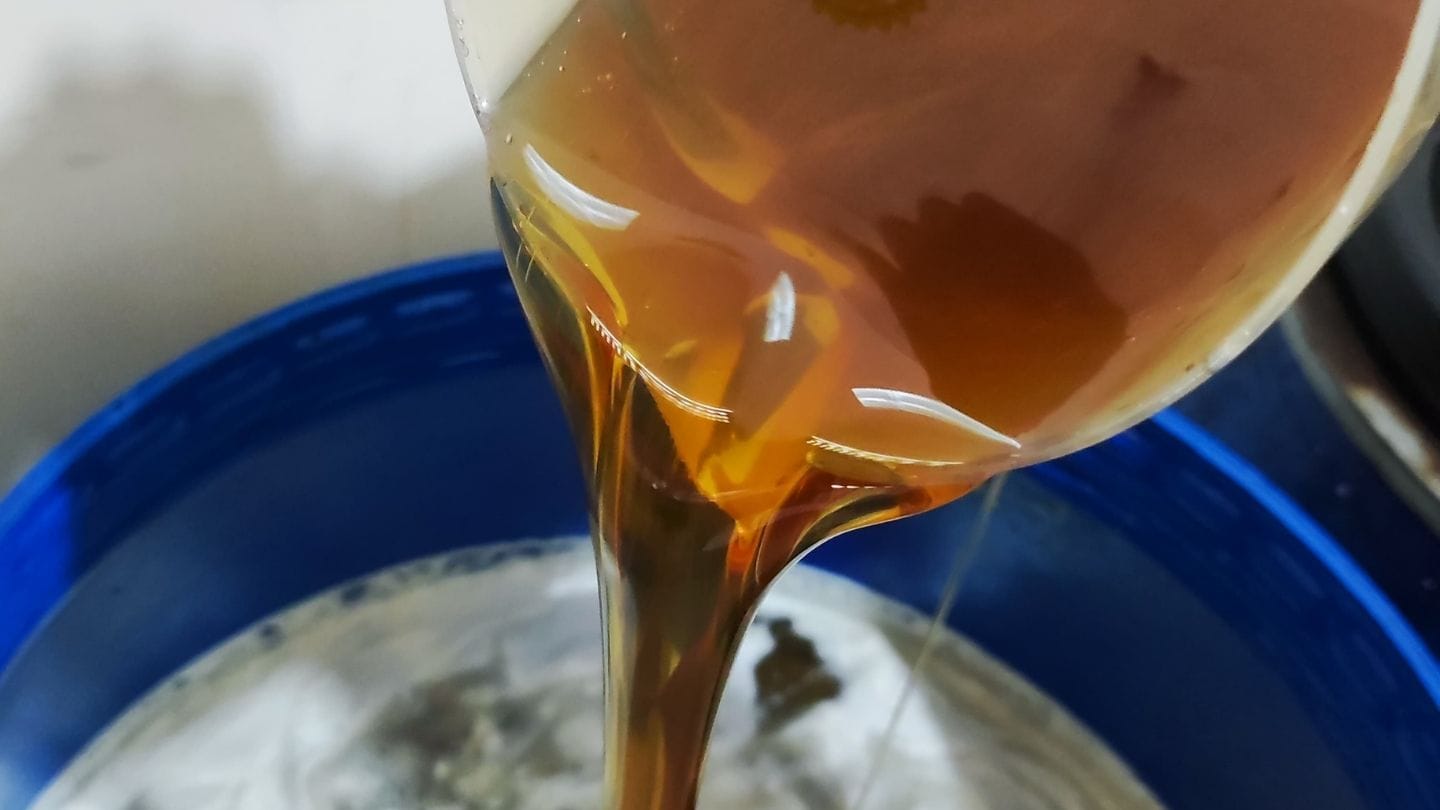 gambar madu kopi asli murni