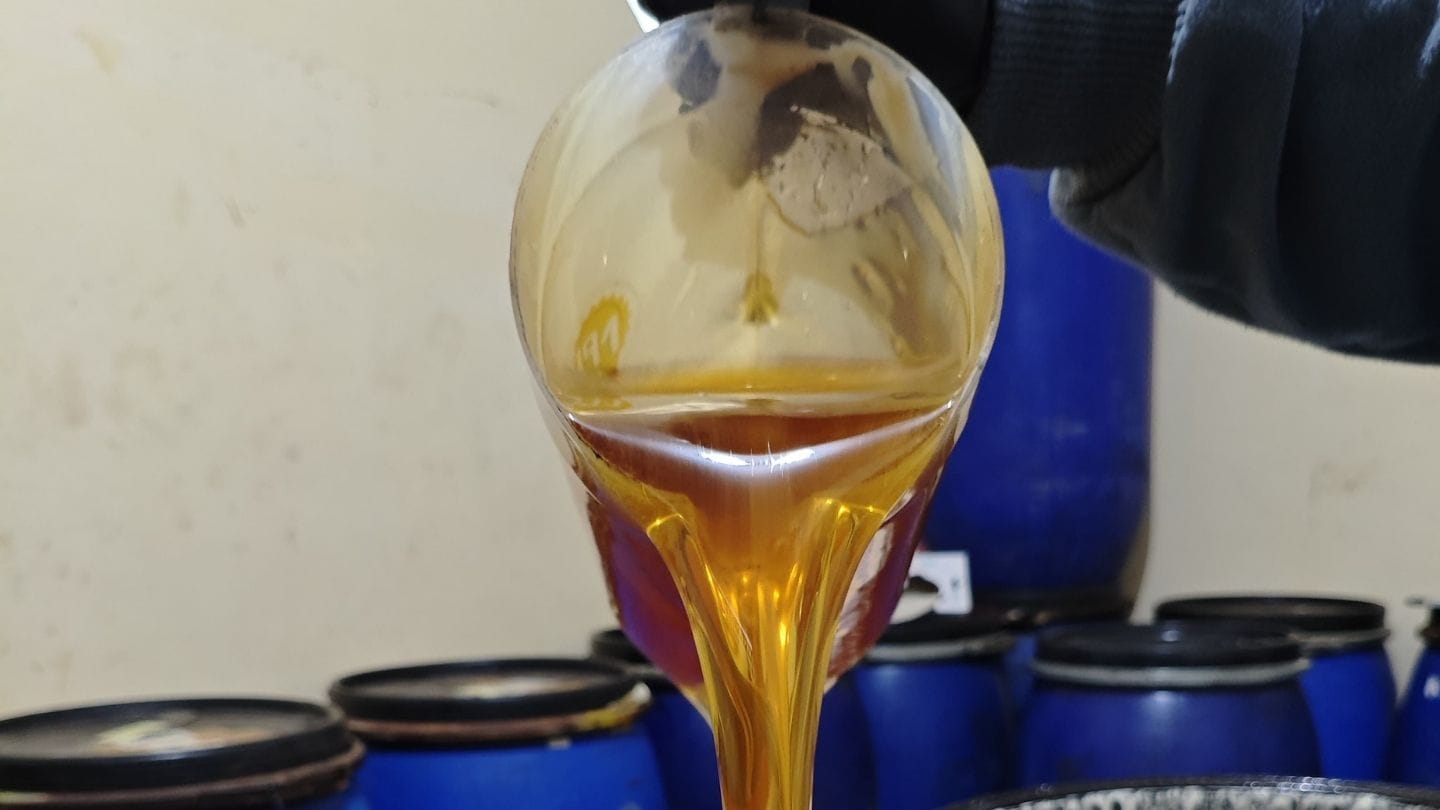 gambar madu multiflora asli murni