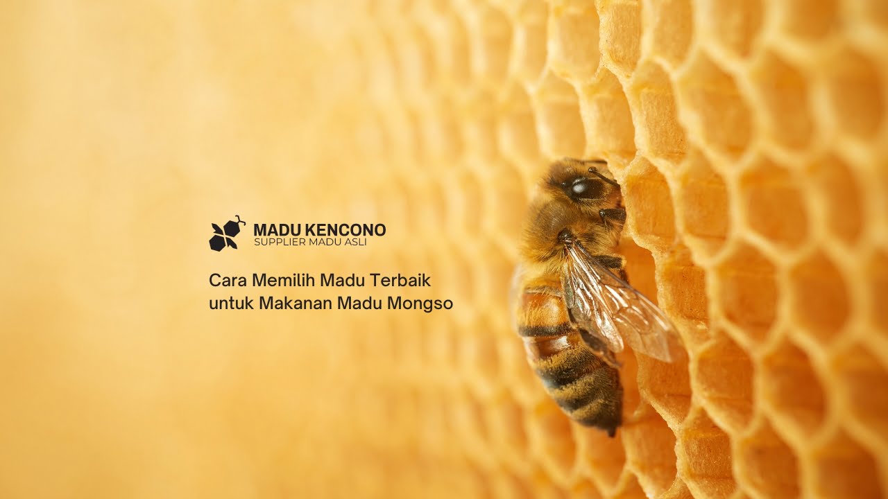 Cara Memilih Madu Terbaik untuk Makanan Madu Mongso