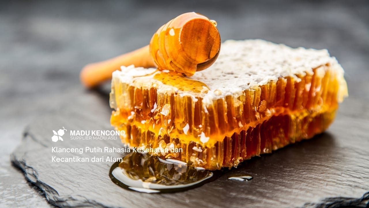 [Klanceng Putih] Rahasia Kesehatan dan Kecantikan dari Alam