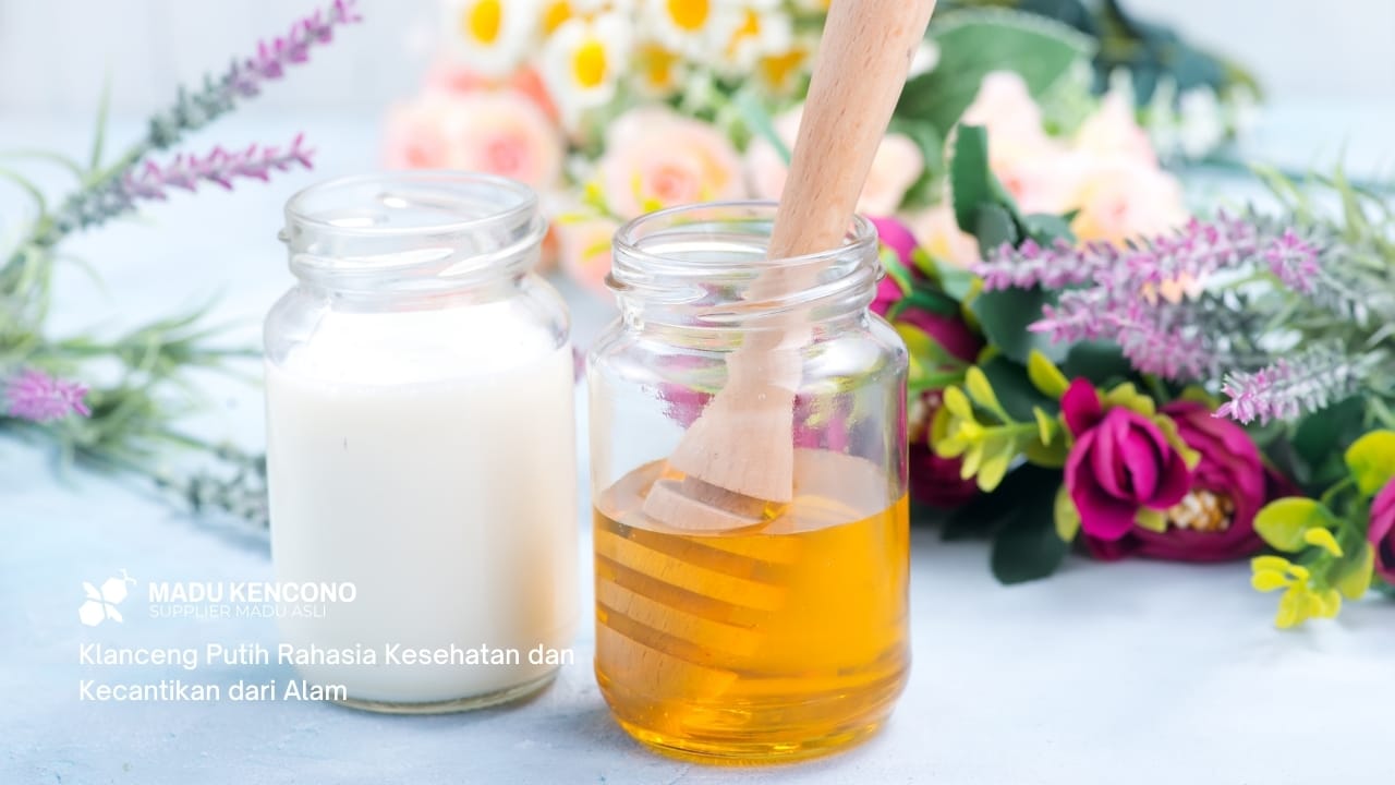 [Klanceng Putih] Rahasia Kesehatan dan Kecantikan dari Alam