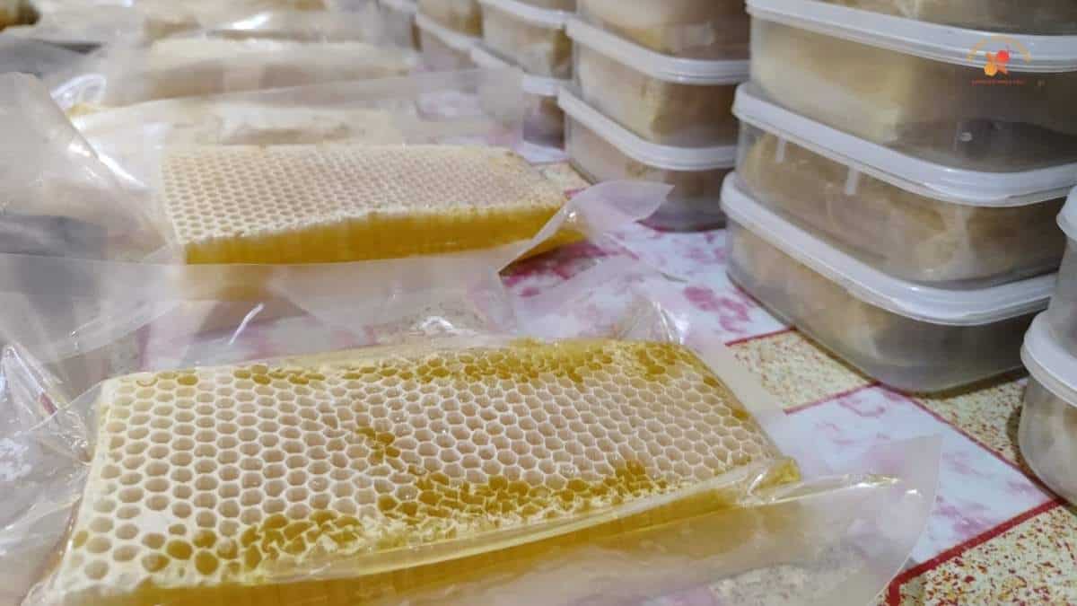 Sarang madu alami stok madu kencono dengan madu berwarna keemasan yang sudah di vakum plastik