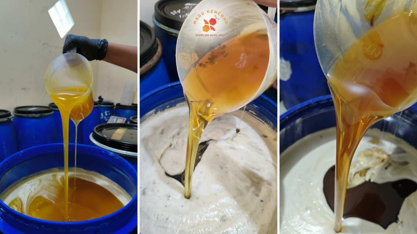 madu bergas dan berbusa ciri ciri raw honey jenis madu multiflora stok curah madu kencono