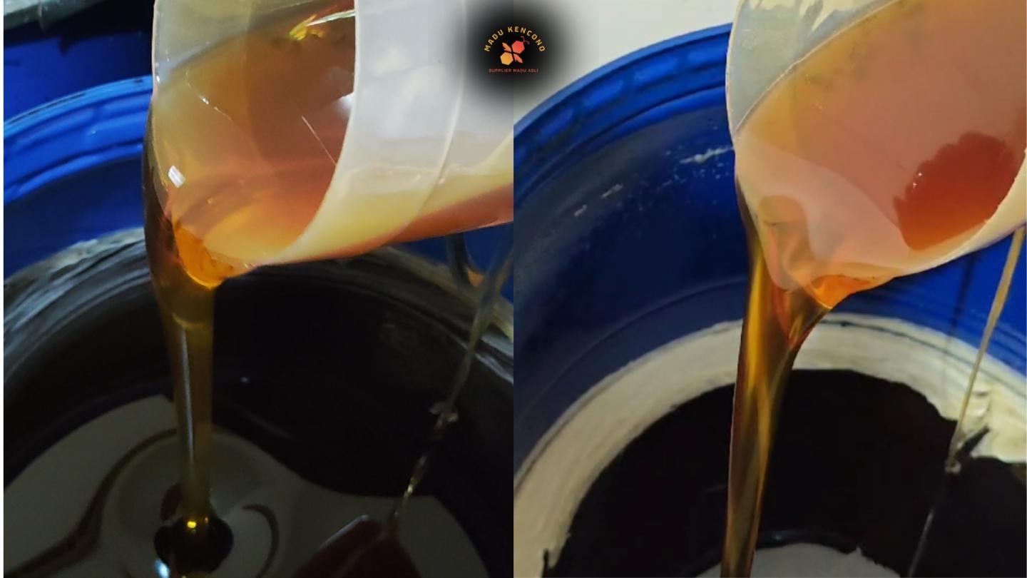 foto madu randu asli bergas didalam drum biru stok madu kencono