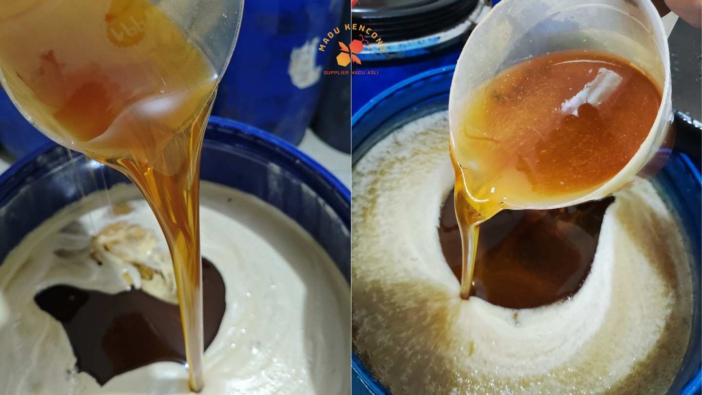 foto madu yang dihasilkan oleh lebah apis mellifera dalam drum stok madu kencono