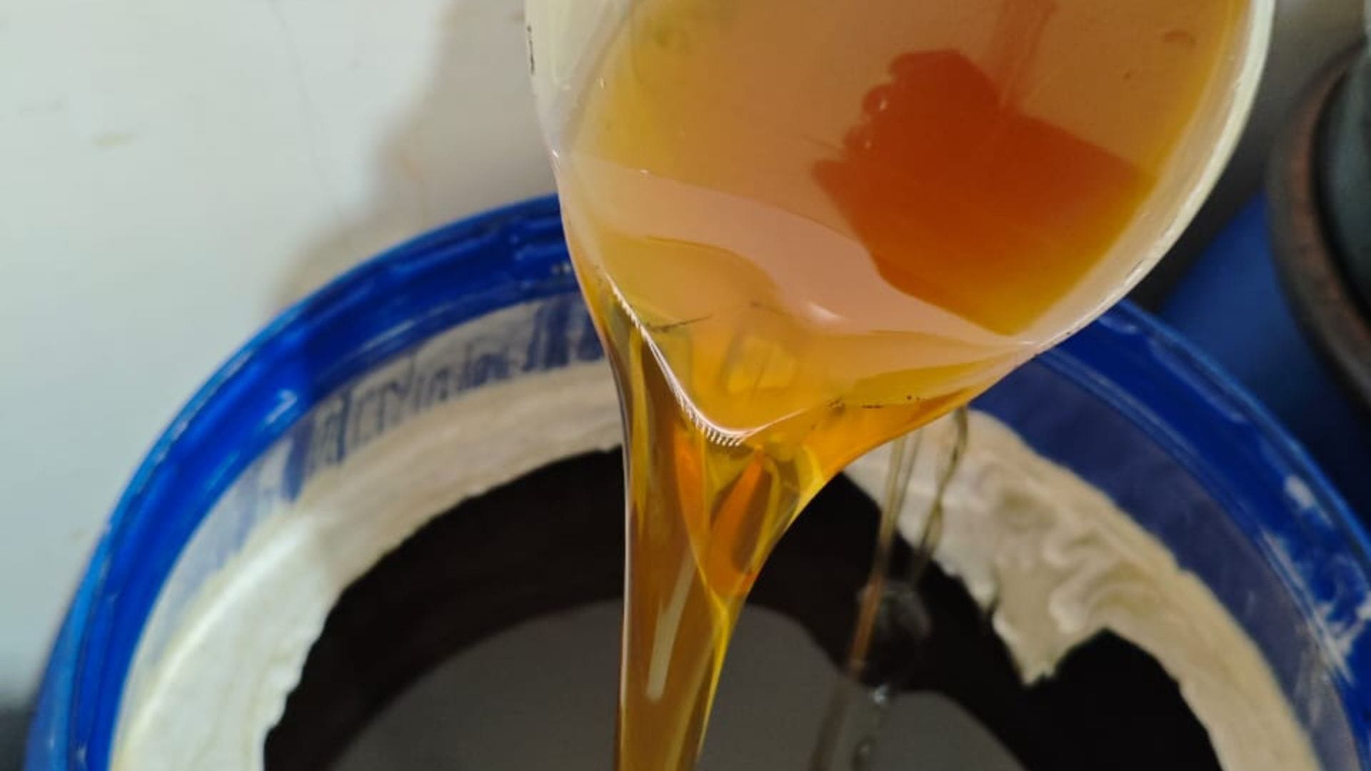 gambar madu asli jenis ternak