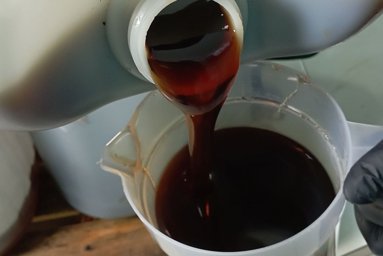 gambar madu hutan sumatera