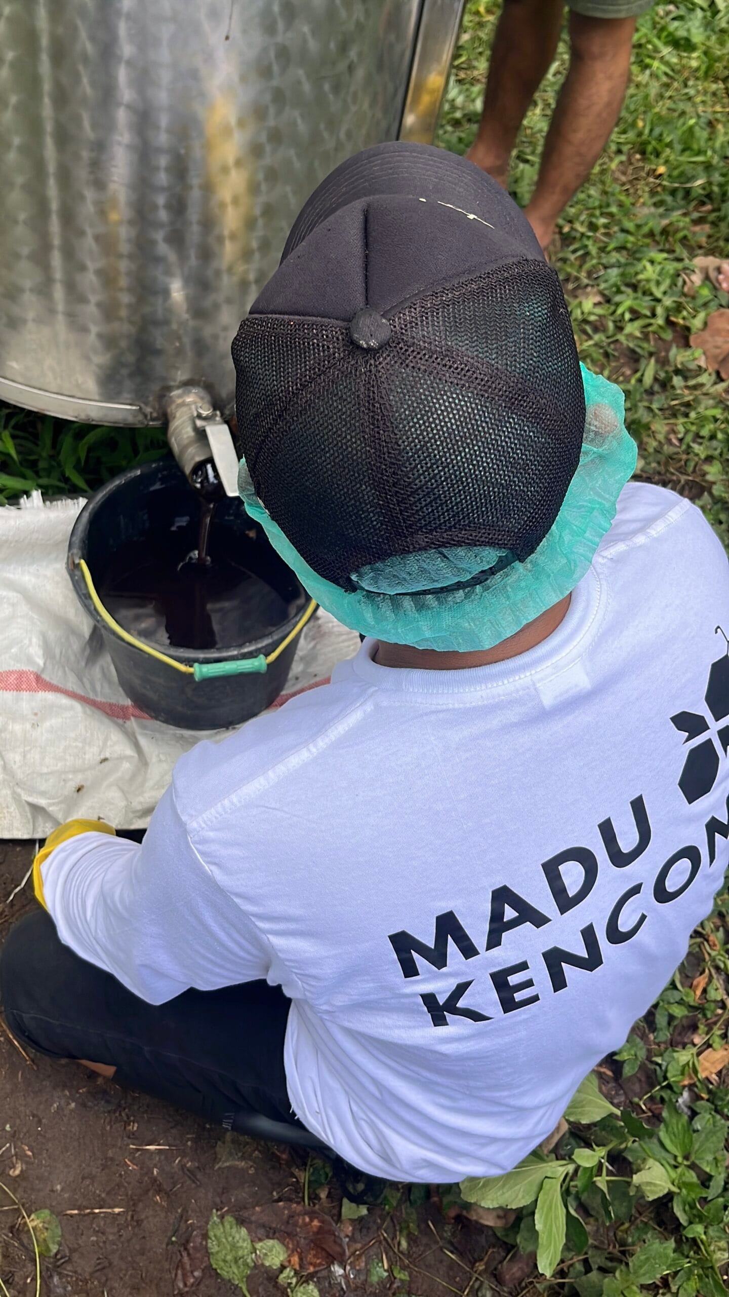 gambar panen madu menggunakan ekstraktor