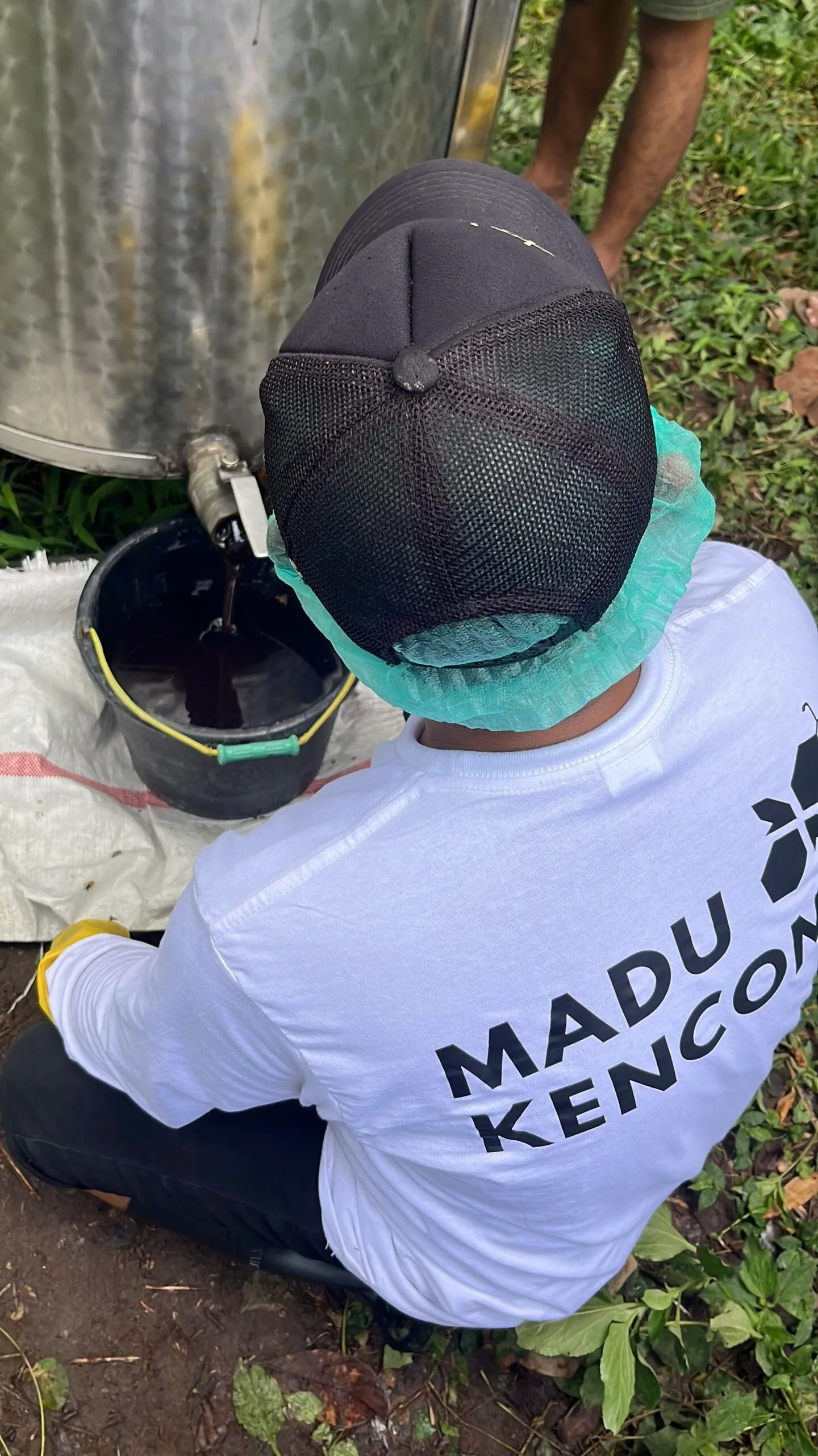 gambar panen madu menggunakan ekstraktor