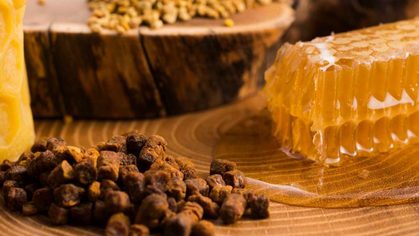 gambar propolis dan sarang madu