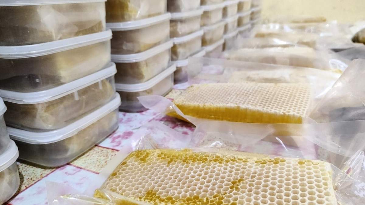 gambar sarang madu asli siap dikonsumsi