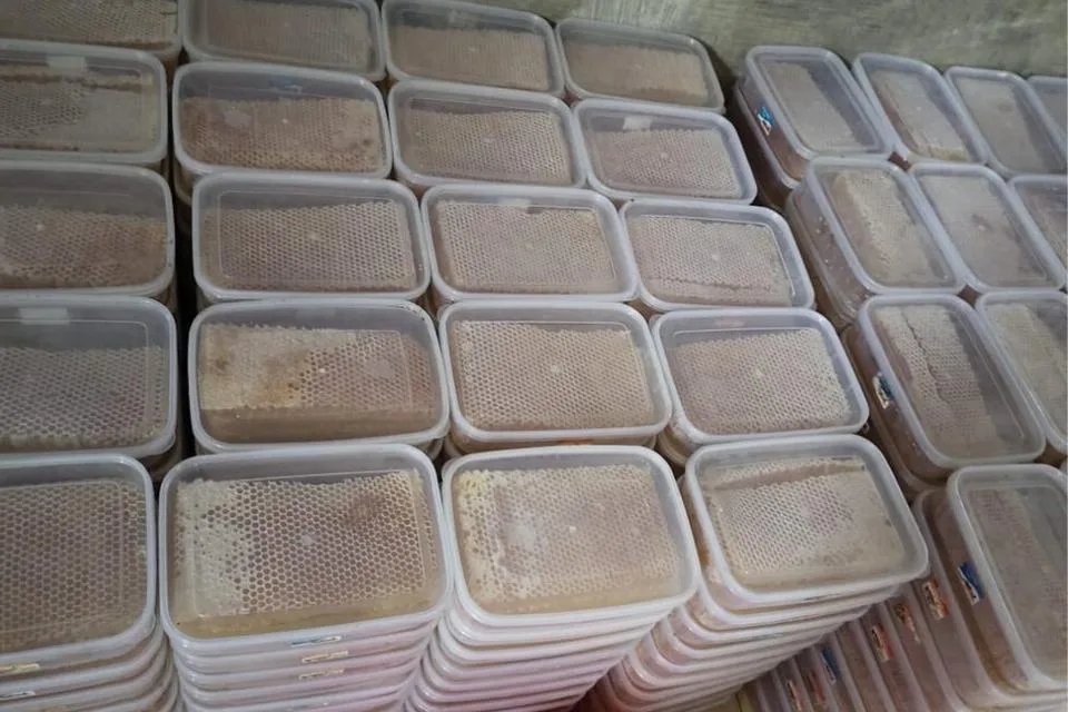 gambar stok sarang lebah madu kemas rapi