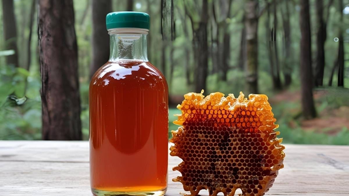 ilustrasi gambar madu hutan asli dalam botol dan sarangnya