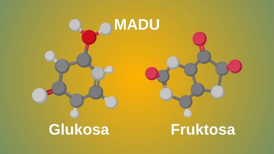 ilustrasi gambar molekul glukosa dan fruktosa dalam madu