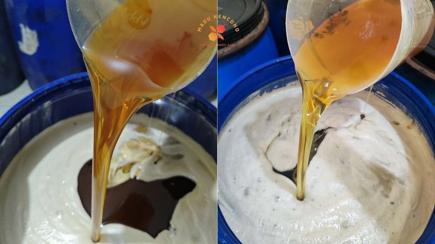 madu berbusa dalam drum madu kencono