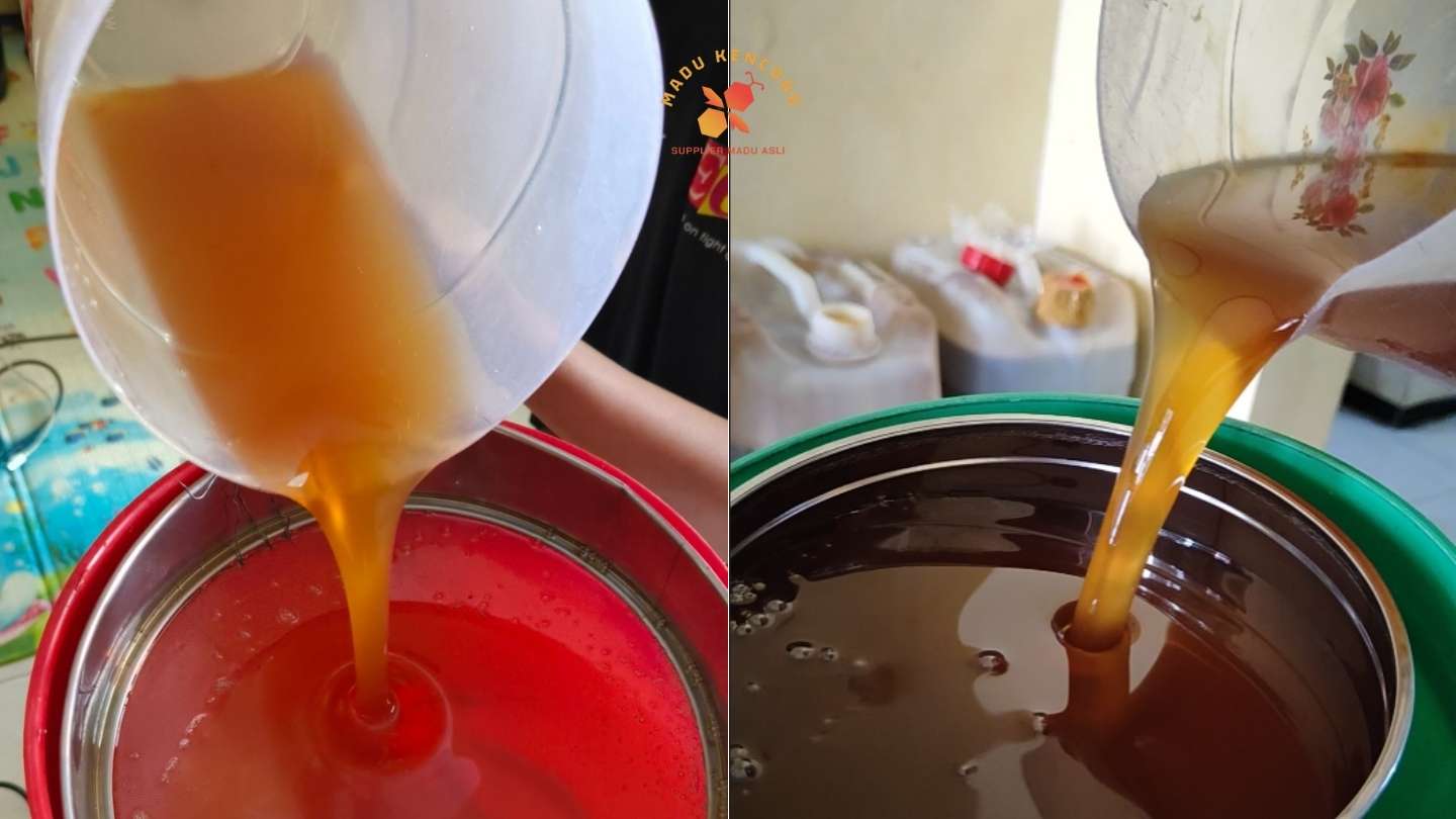 foto madu klanceng asli berwarna coklat cerah dan tua stok madu kencono
