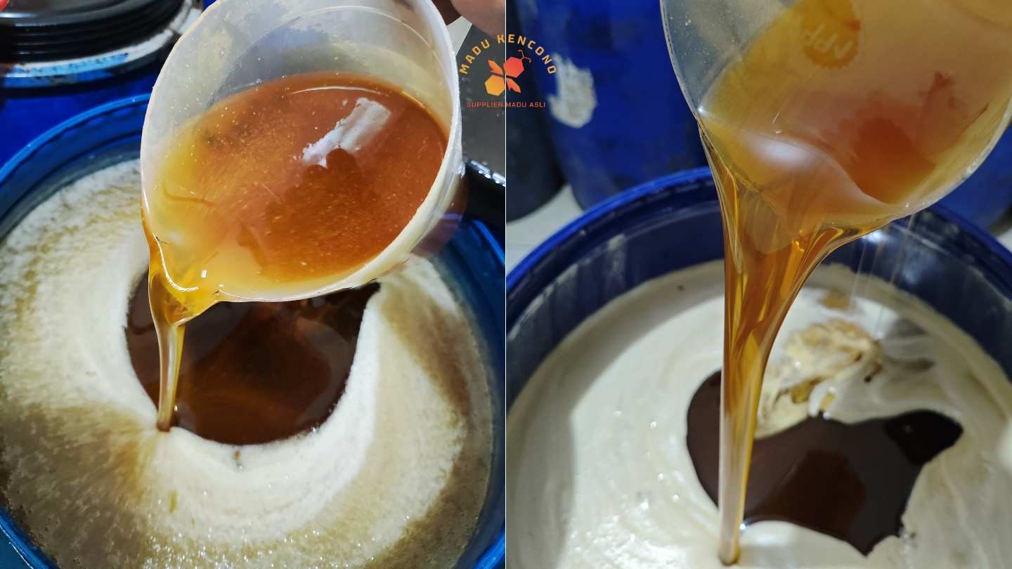 madu multiflora asli stok madu kencono di drum