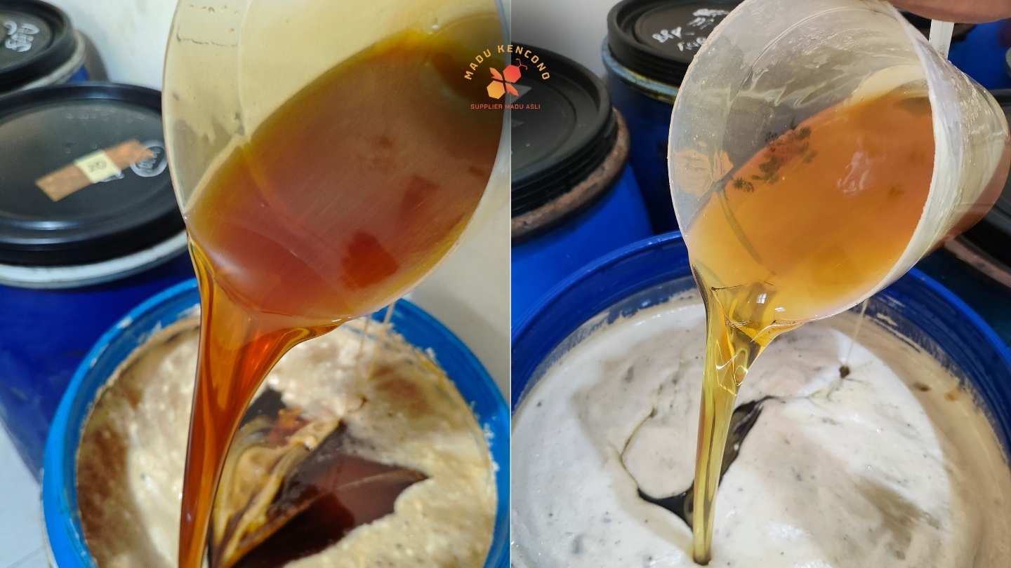 madu stok madu kencono dalam drum bergas dan mengeluarkan busa