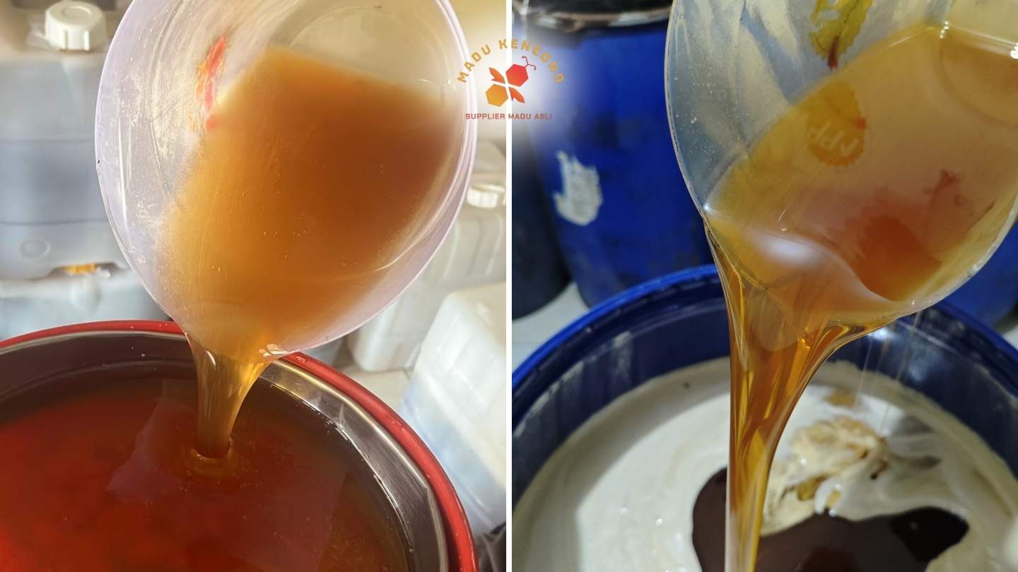 potret madu hutan dan madu ternak multiflora yang dimiliki madu kencono di gudang