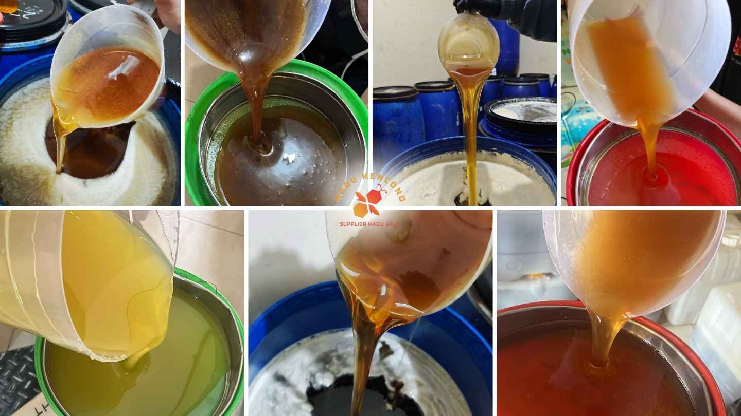 Dokumentasi variasi warna madu asli multiflora dan monoflora dari Madu Kencono