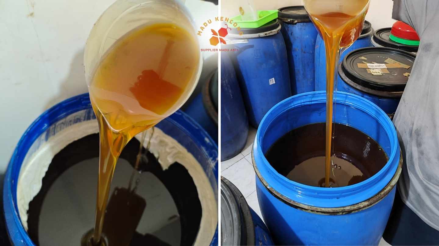 potret madu nektar rambutan stok madu kencono dalam drum biru