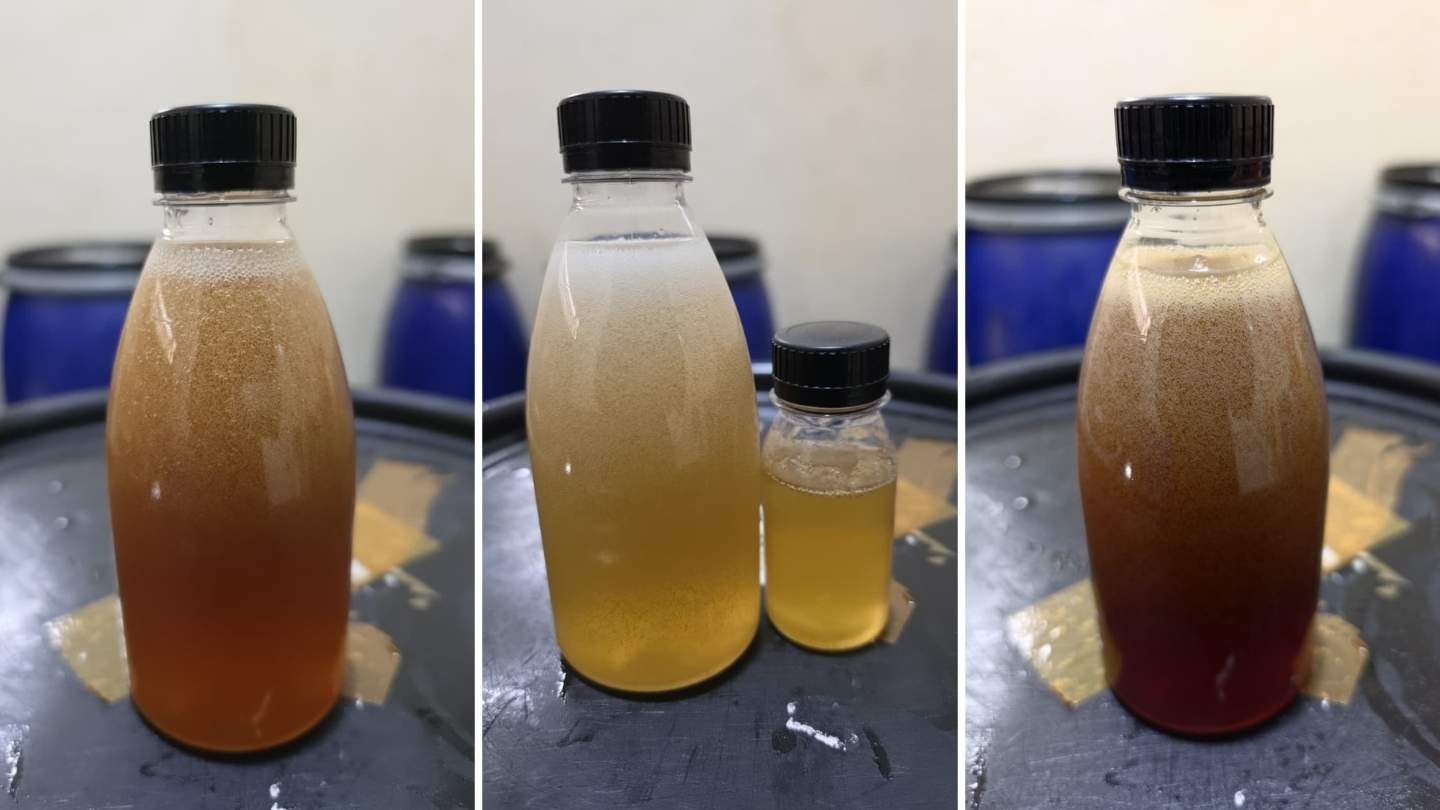 potret tester 3 varian madu hutan dari madu kencono