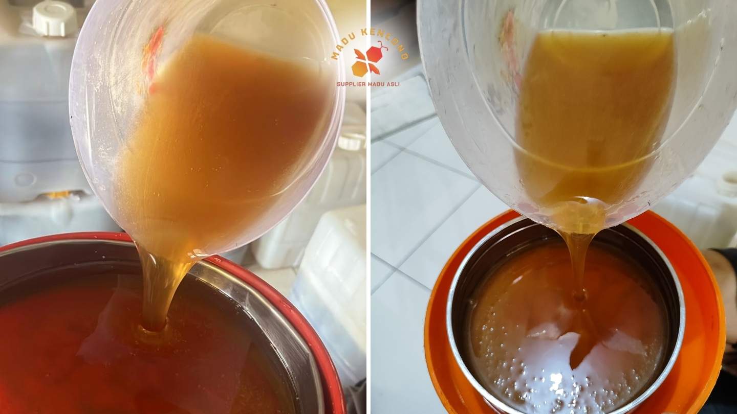 stok madu kencono jenis madu hutan sumatera dituang ke loyang
